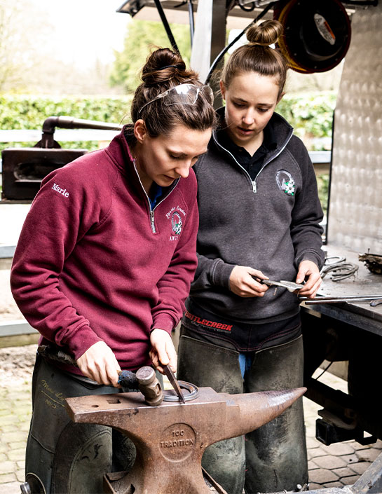 Working on horseshoe